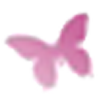 Schmetterling Schmetterling